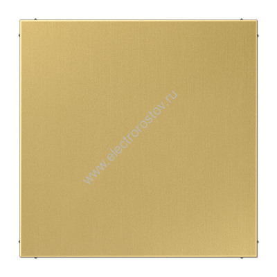 LS 990 Латунь классик Заглушка JUNG