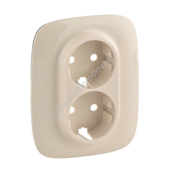 Valena Allure Слоновая кость Лицевая панель Розетка с/з 2-ая Legrand