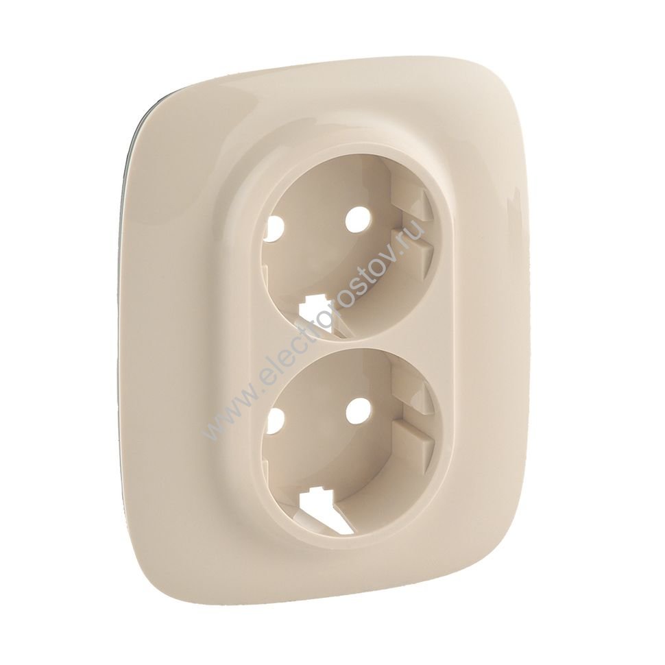 Valena Allure Слоновая кость Лицевая панель Розетка с/з 2-ая Legrand