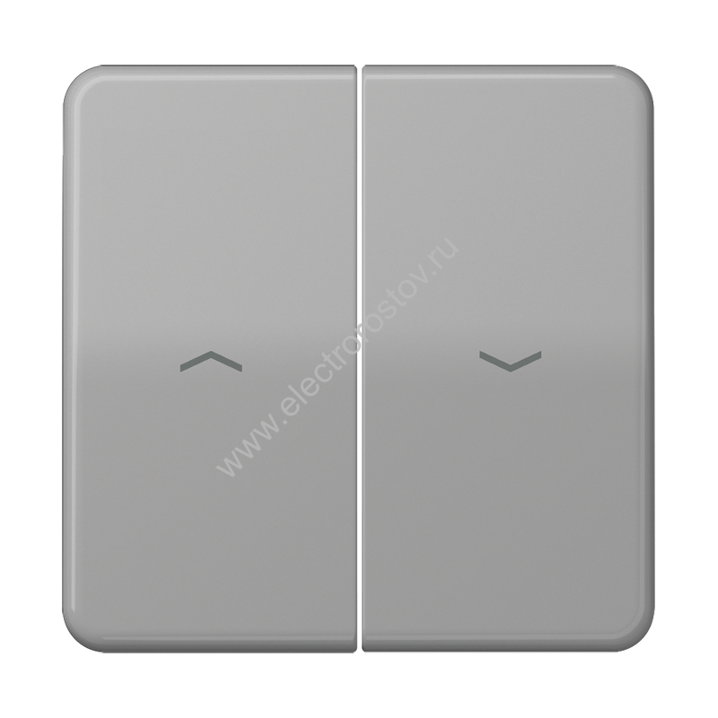 CD 500 Серый Клавиша 2-ая жалюзийная JUNG