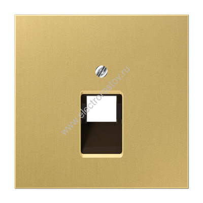 LS 990 Латунь классик Накладка 1-ой наклонной ТЛФ/комп розетки JUNG