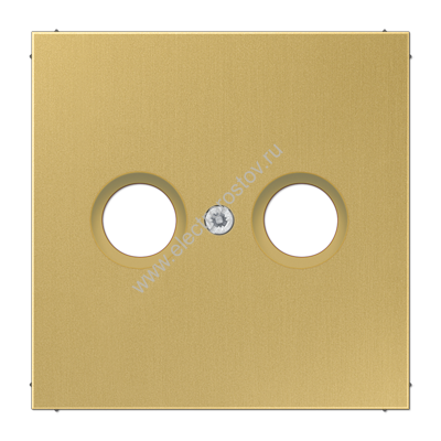 LS 990 Латунь классик Накладка TV-FM JUNG