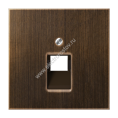 LS 990 Античная латунь Накладка 1-ой наклонной ТЛФ/комп розетки JUNG