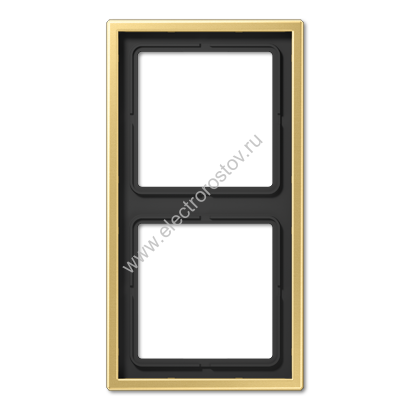LS 990 Латунь классик Рамка 2-ая JUNG
