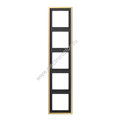 LS 990 Латунь классик Рамка 5-ая JUNG