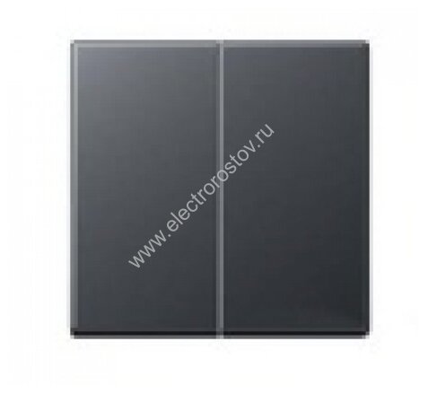 JUNG EcoProfi Антрацит Клавиша 2-ая