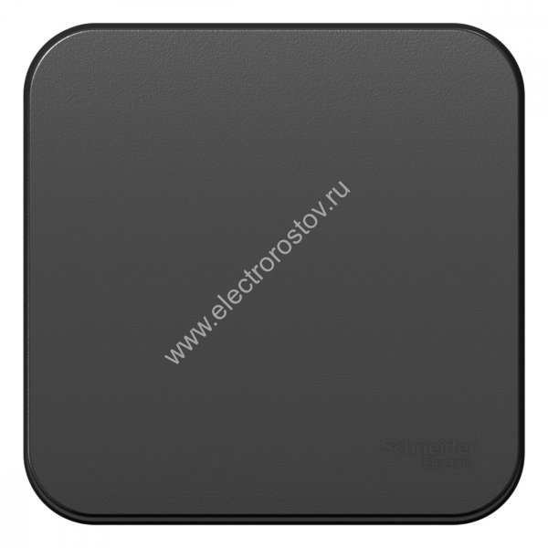 Blanca наруж Антрацит Выключатель 1-клавишный с самовозвратом, 10А, 250В, изолир. пластина Schneider