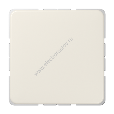 CD 500 Слоновая кость Заглушка JUNG