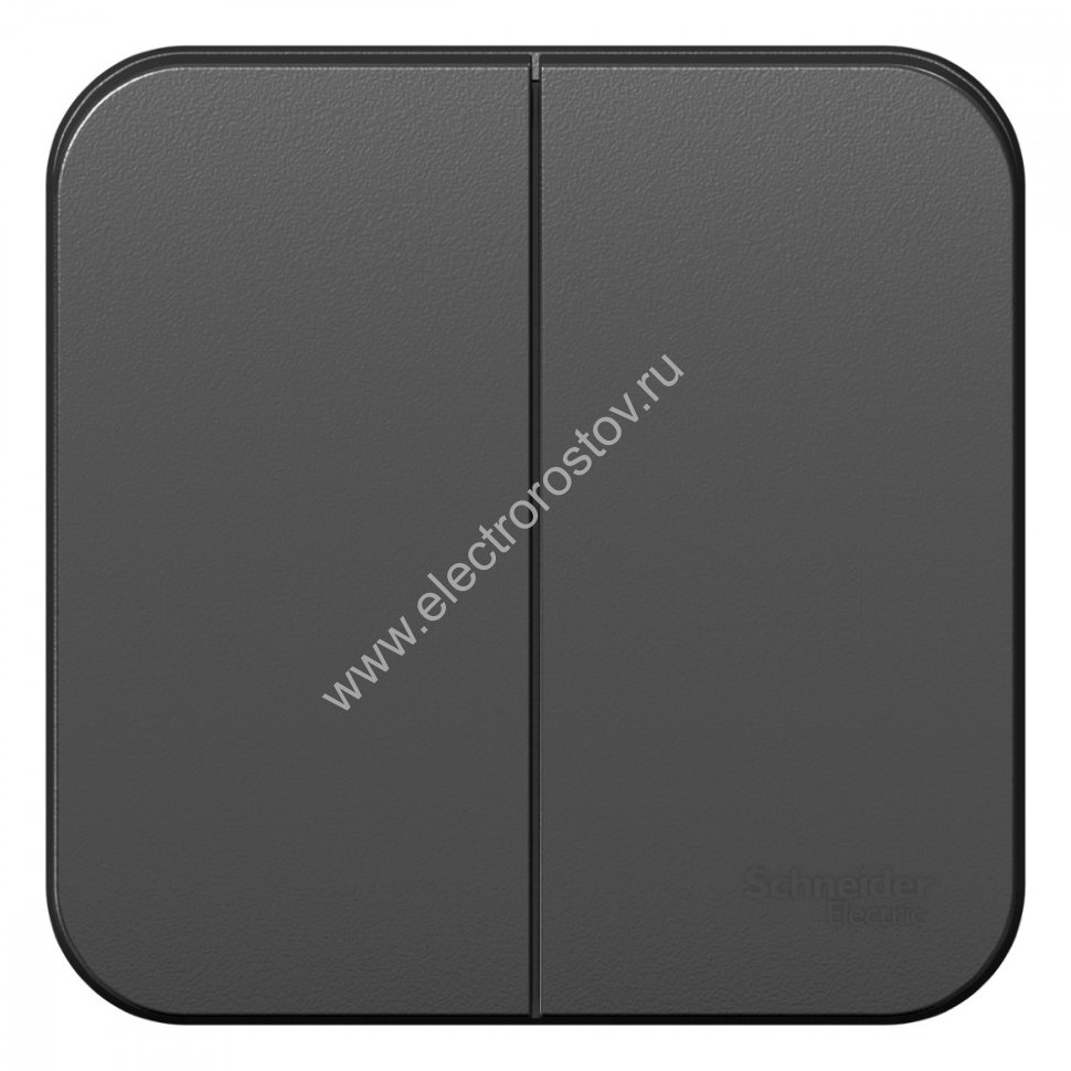 Blanca наруж Антрацит Выключатель 2-клавишный 10А, 250B, изолир. пластина Schneider Electric