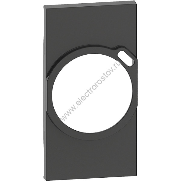 Living now Черный Лицевая панель для комбинированных розеток 2К+З/USB 2 мод Bticino