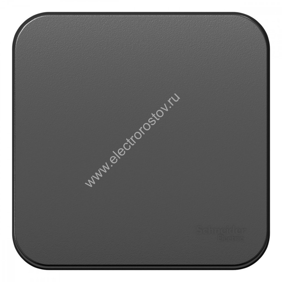 Blanca наруж Антрацит Переключатель 1-клавишный 10А, 250B, изолир. пластина Schneider Electric