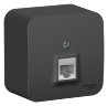Blanca наруж Антрацит Розетка компьютерная RJ45, кат.5E, изолир. пластина Schneider Electric