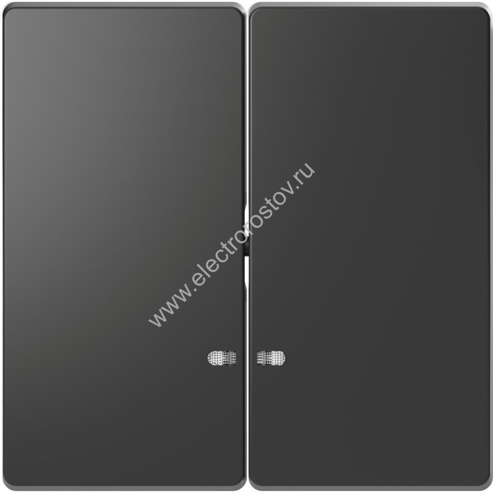Schneider Electric Merten D-Life Антрацит Клавиша 2-ная с линзой для LED модуля
