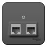 Blanca наруж Антрацит Розетка 2-ая компьютерная RJ45, кат.5E, изол. пластина Schneider Electric