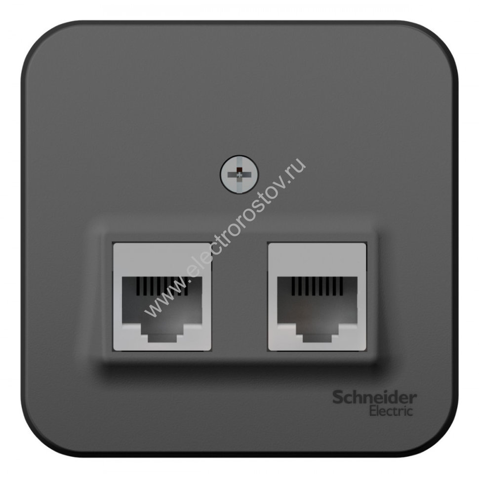 Blanca наруж Антрацит Розетка 2-ая компьютерная RJ45, кат.5E, изол. пластина Schneider Electric