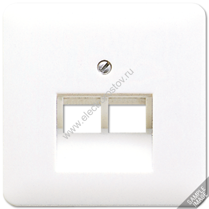 CD 500 Слоновая кость Накладка 2-ой наклонной ТЛФ/комп розетки JUNG