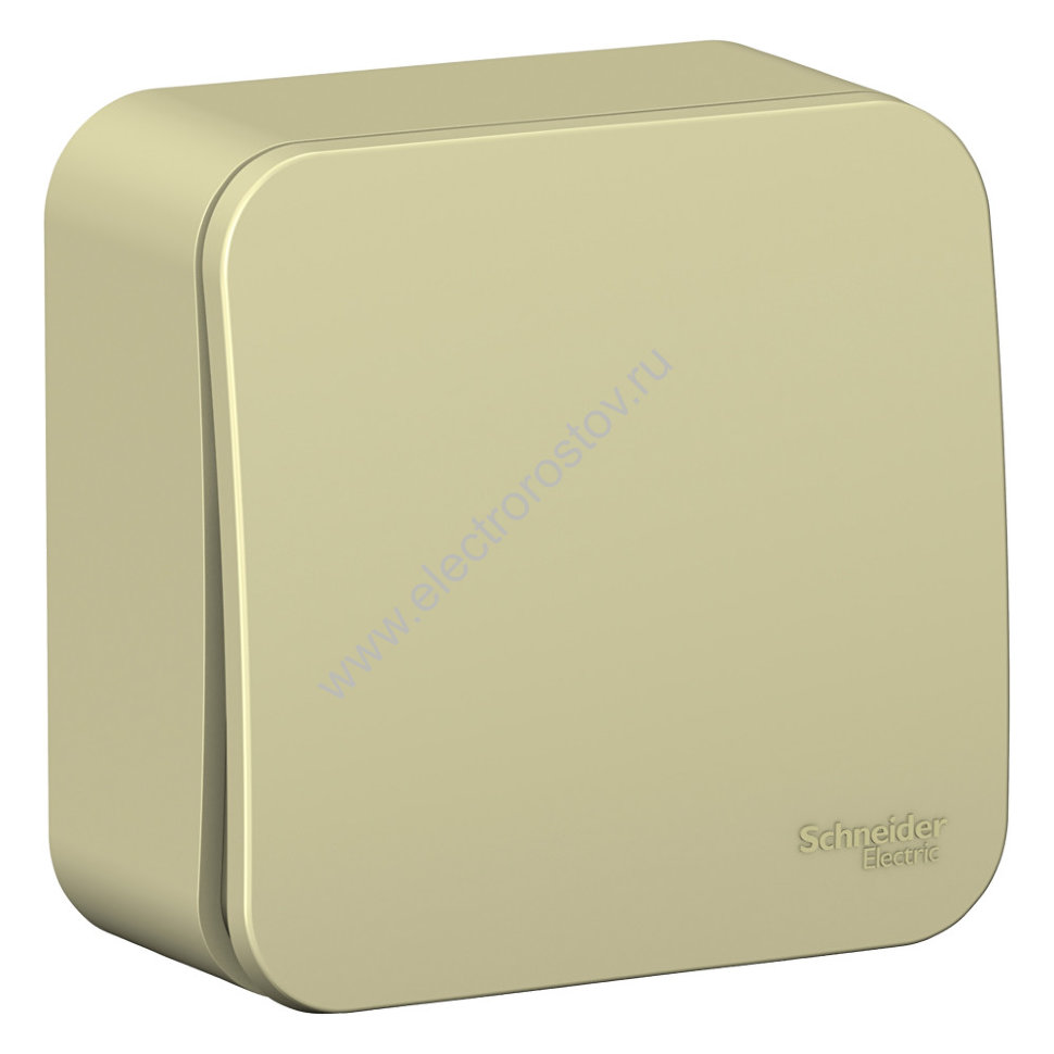 Blanca наруж Бежевый Выключатель 1-клавишный (cх.1) изолир. пластина 10А, 250B Schneider Electric