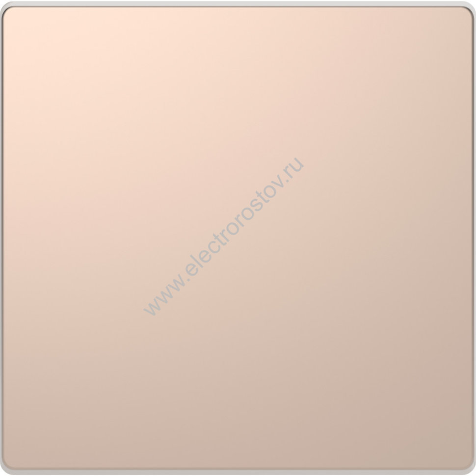 Schneider Electric Merten D-Life Шампань Клавиша 1-ая