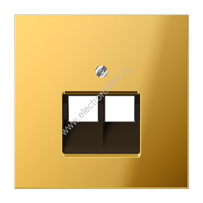 LS 990 Золото Накладка 2-ой наклонной ТЛФ/комп розетки JUNG