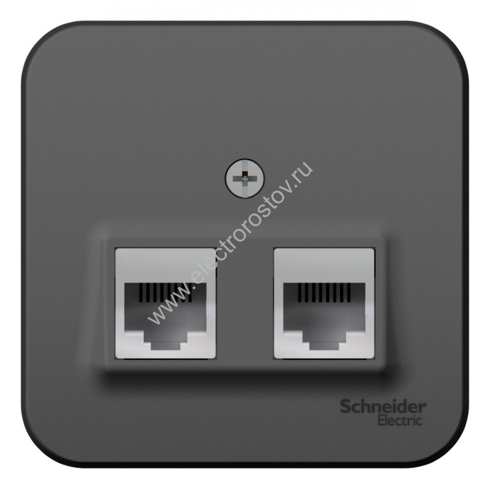 Blanca наруж Антрацит Розетка 2-ая ТЛФ/КОМП, RJ45+RJ11, кат.5E, изолир. пластина Schneider Electric