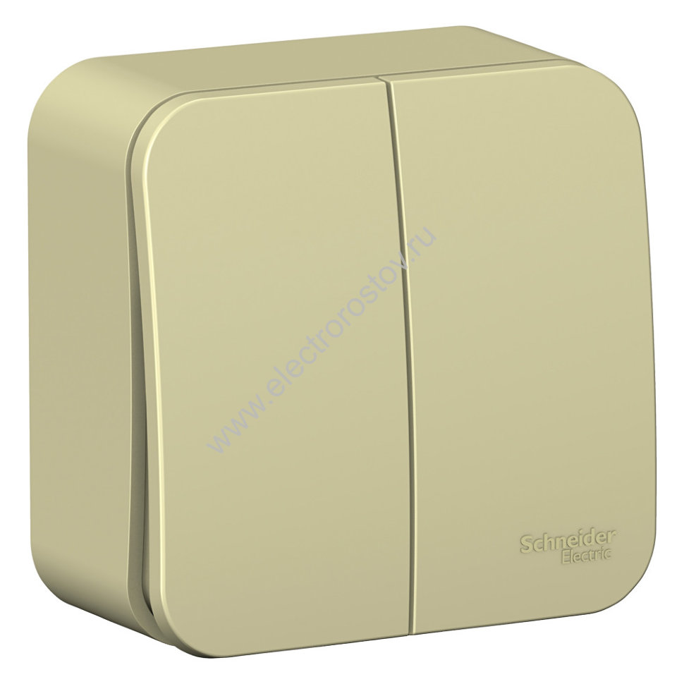 Blanca наруж Бежевый Выключатель 2-клавишный (cх.5) изолир. пластина 10А, 250B Schneider Electric