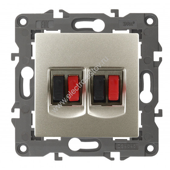 Elegance Шампань Аудиорозетка 2-ая ЭРА