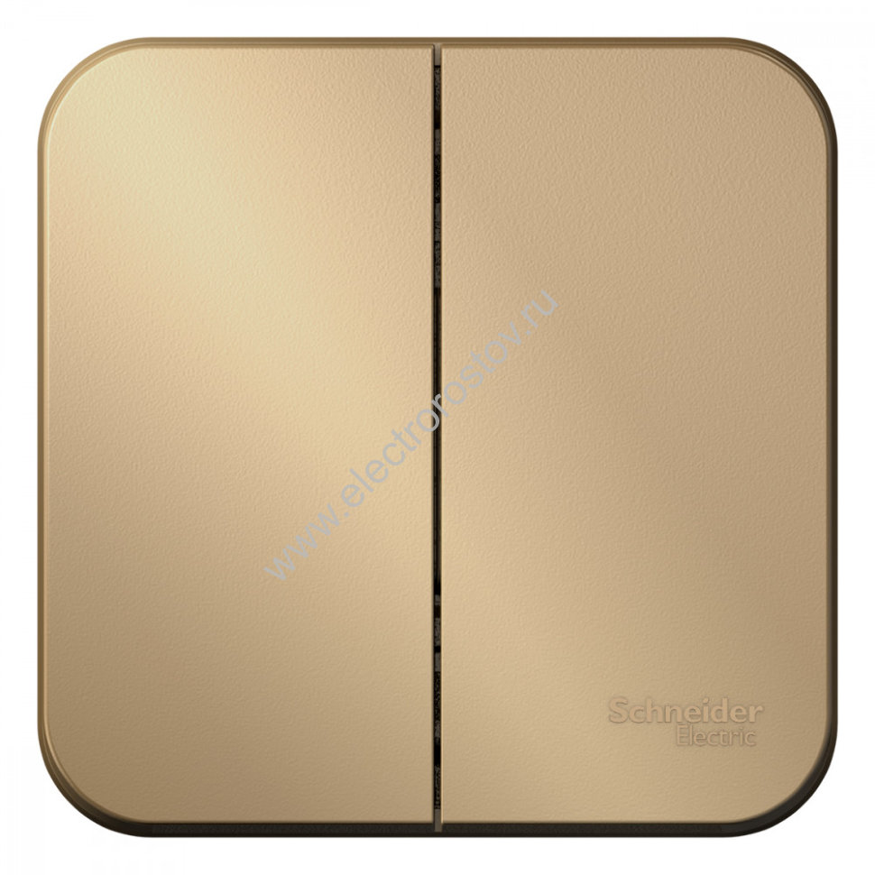 Blanca наруж Титан Выключатель 2-клавишный 10А, 250B, изолир. пластина Schneider Electric