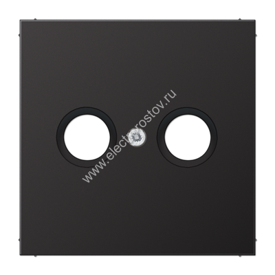LS 990 Алюминий темный Накладка TV-FM JUNG