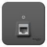 Blanca наруж Антрацит Розетка компьютерная RJ45, кат.5E, изолир. пластина Schneider Electric