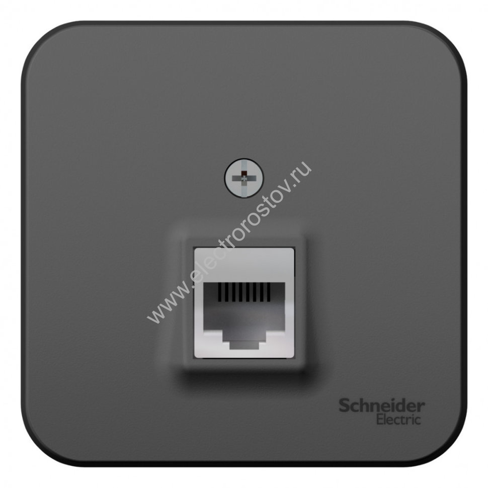 Blanca наруж Антрацит Розетка компьютерная RJ45, кат.5E, изолир. пластина Schneider Electric