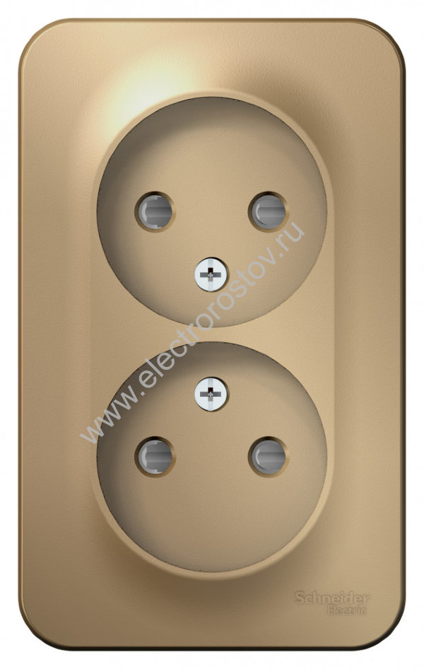 Blanca наруж Титан Розетка 2-ая б/з со шторками 16А, 250В, изолир. пластина Schneider Electric