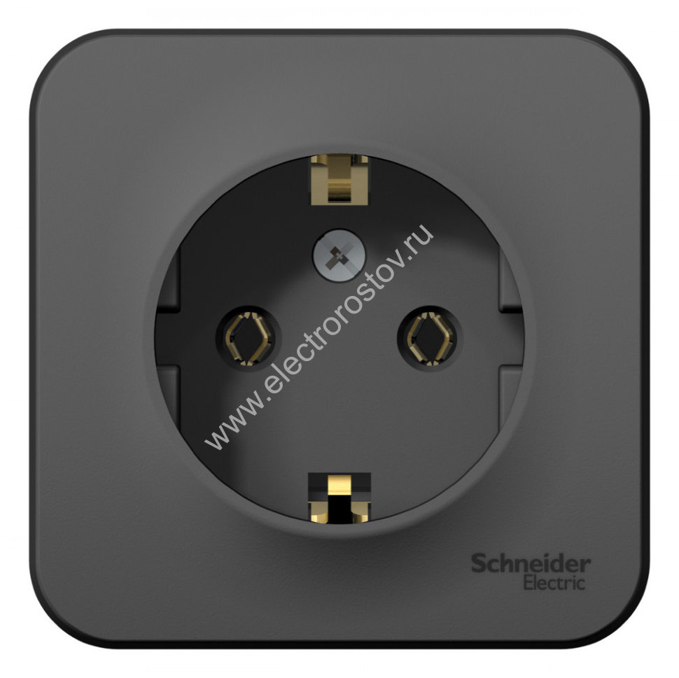 Blanca наруж Антрацит Розетка с/з без шторок 16А, 250В, изолир. пластина Schneider Electric