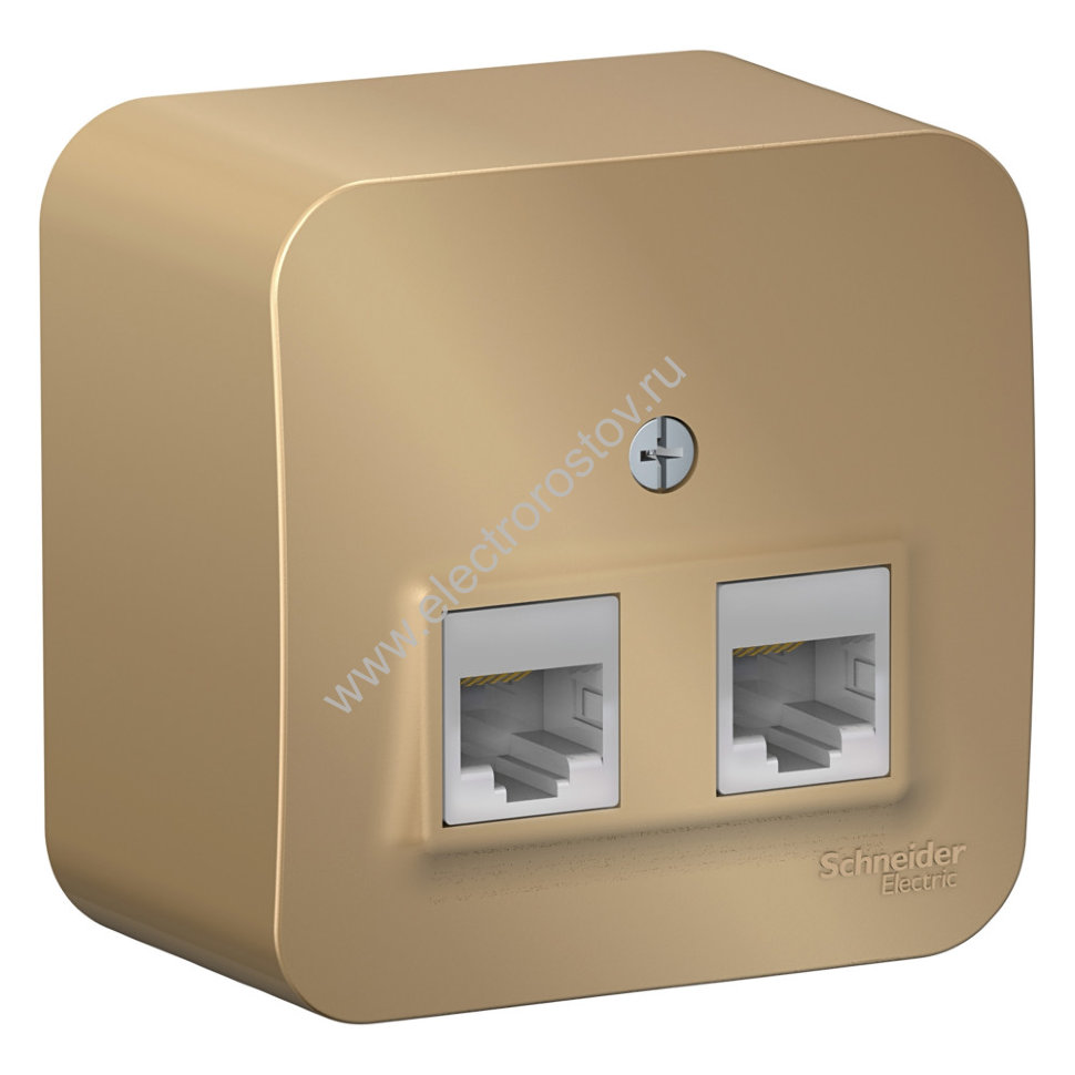 Blanca наруж Титан Розетка 2-ая компьютерная RJ45, кат.5E, изол. пластина Schneider Electric