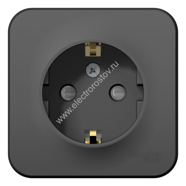 Blanca наруж Антрацит Розетка с/з со шторками 16А, 250В, изолир. пластина Schneider Electric