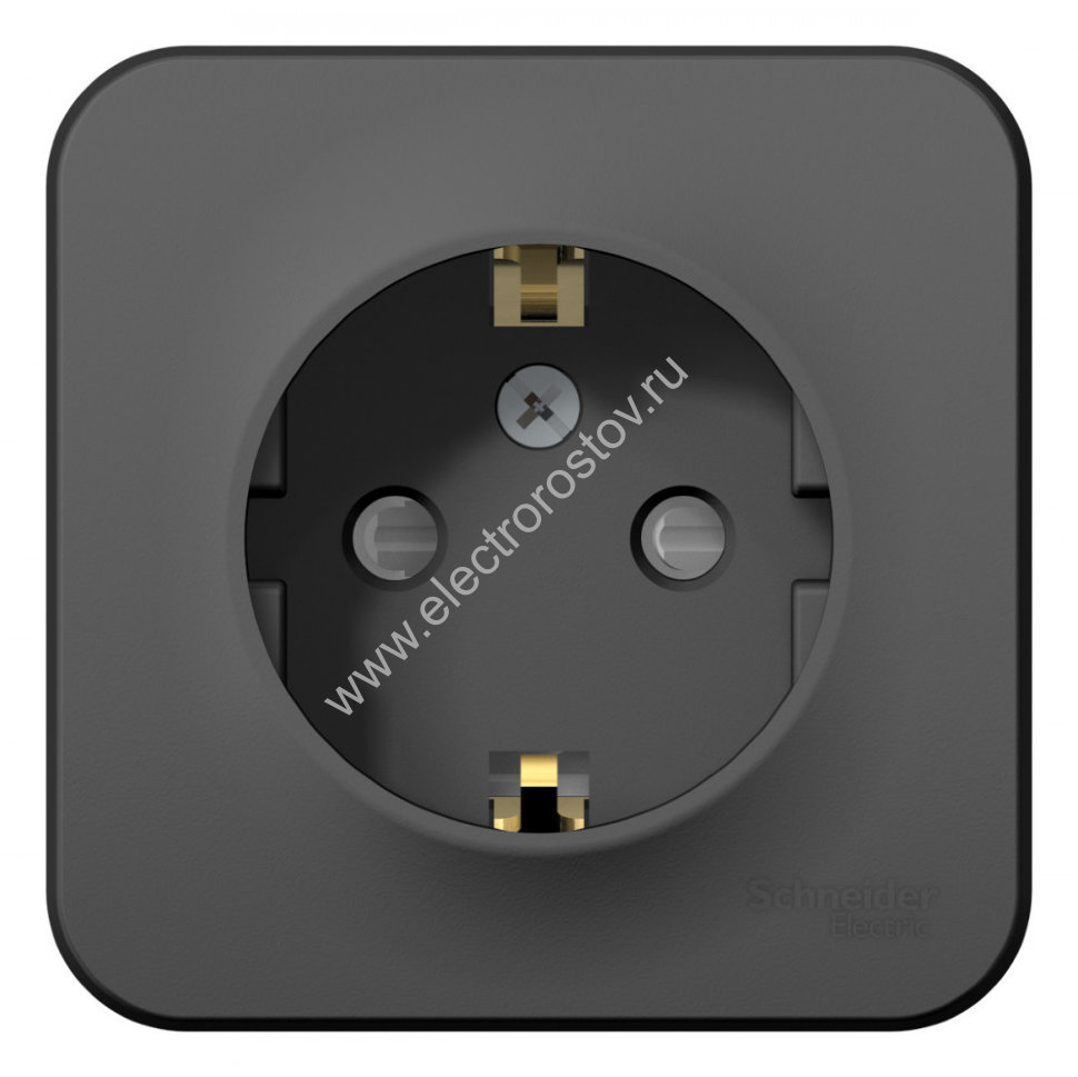 Blanca наруж Антрацит Розетка с/з со шторками 16А, 250В, изолир. пластина Schneider Electric