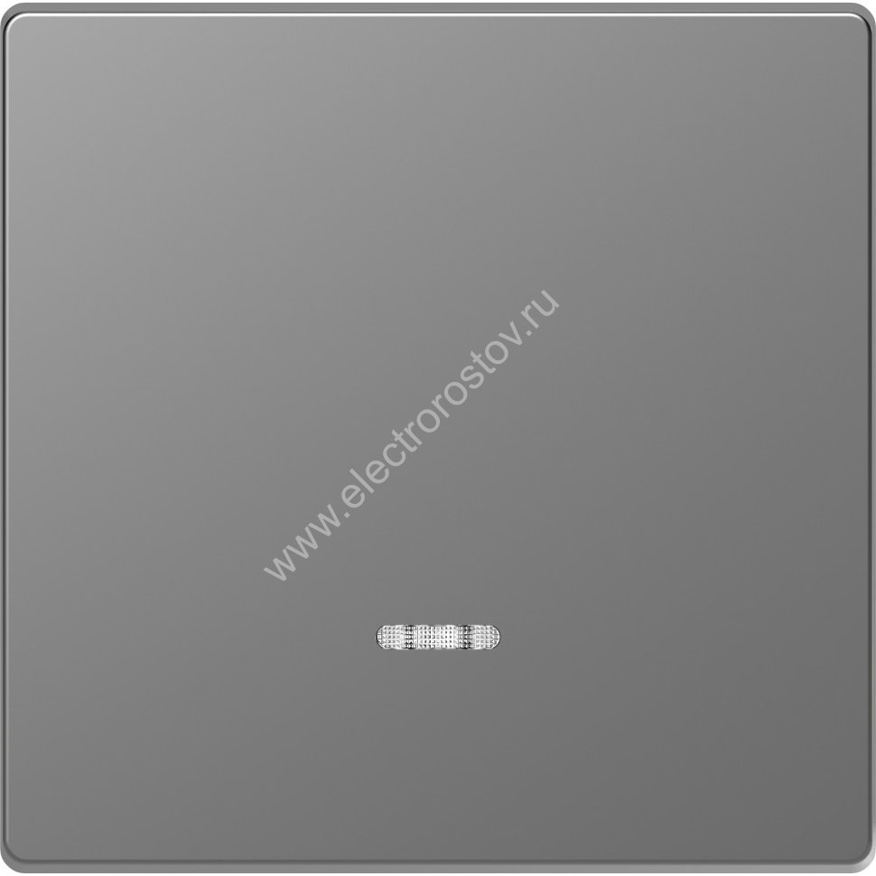 Schneider Electric Merten D-Life Нержавеющая Сталь Клавиша 1-ная с линзой для LED модуля