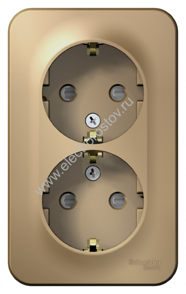 Blanca наруж Титан Розетка 2-ая с/з со шторками 16А, 250В, изолир. пластина Schneider Electric