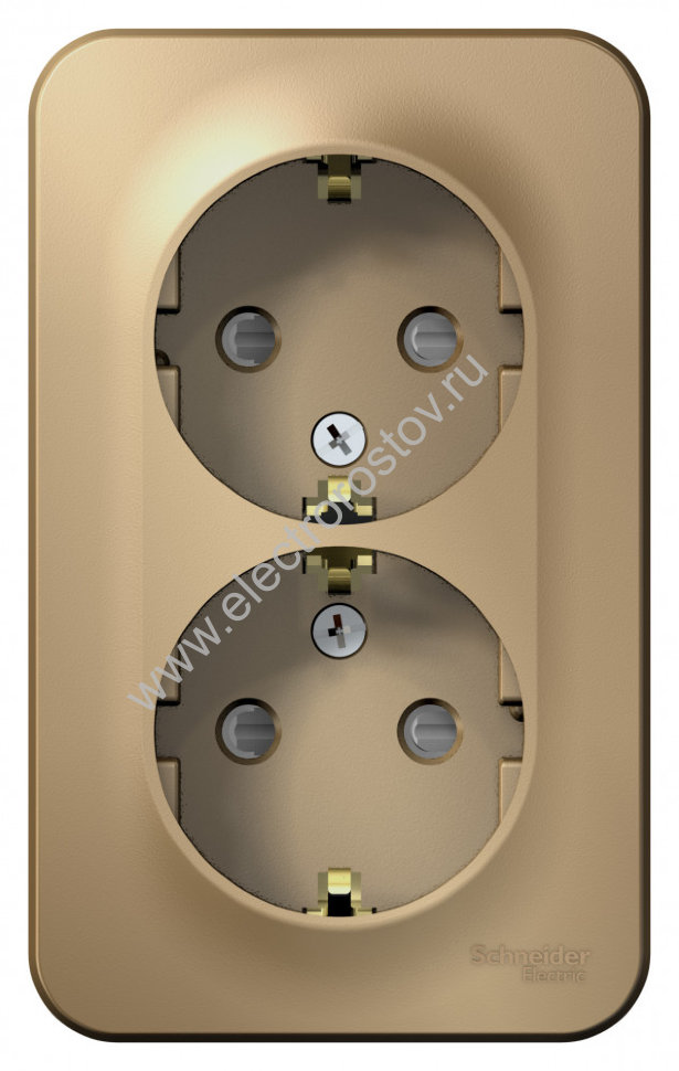 Blanca наруж Титан Розетка 2-ая с/з со шторками 16А, 250В, изолир. пластина Schneider Electric