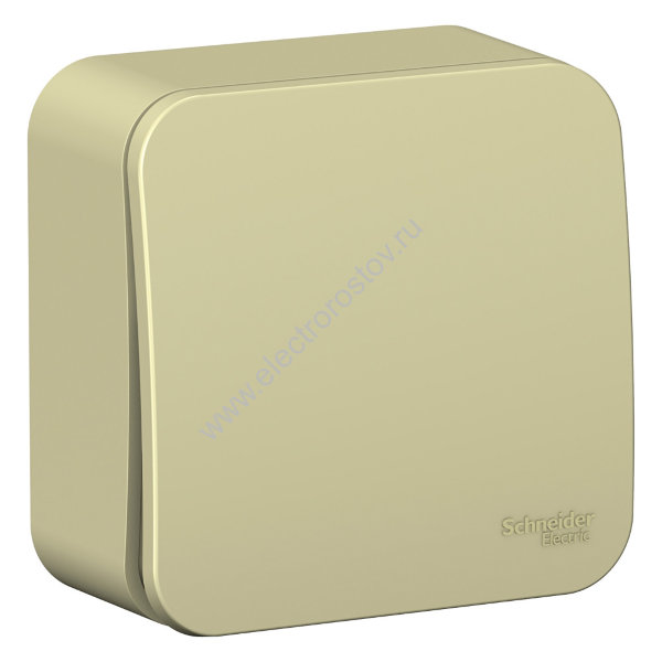 Blanca наруж Бежевый Выключатель 1-клавишный (cх.1) изолир. пластина 10А, 250B Schneider Electric