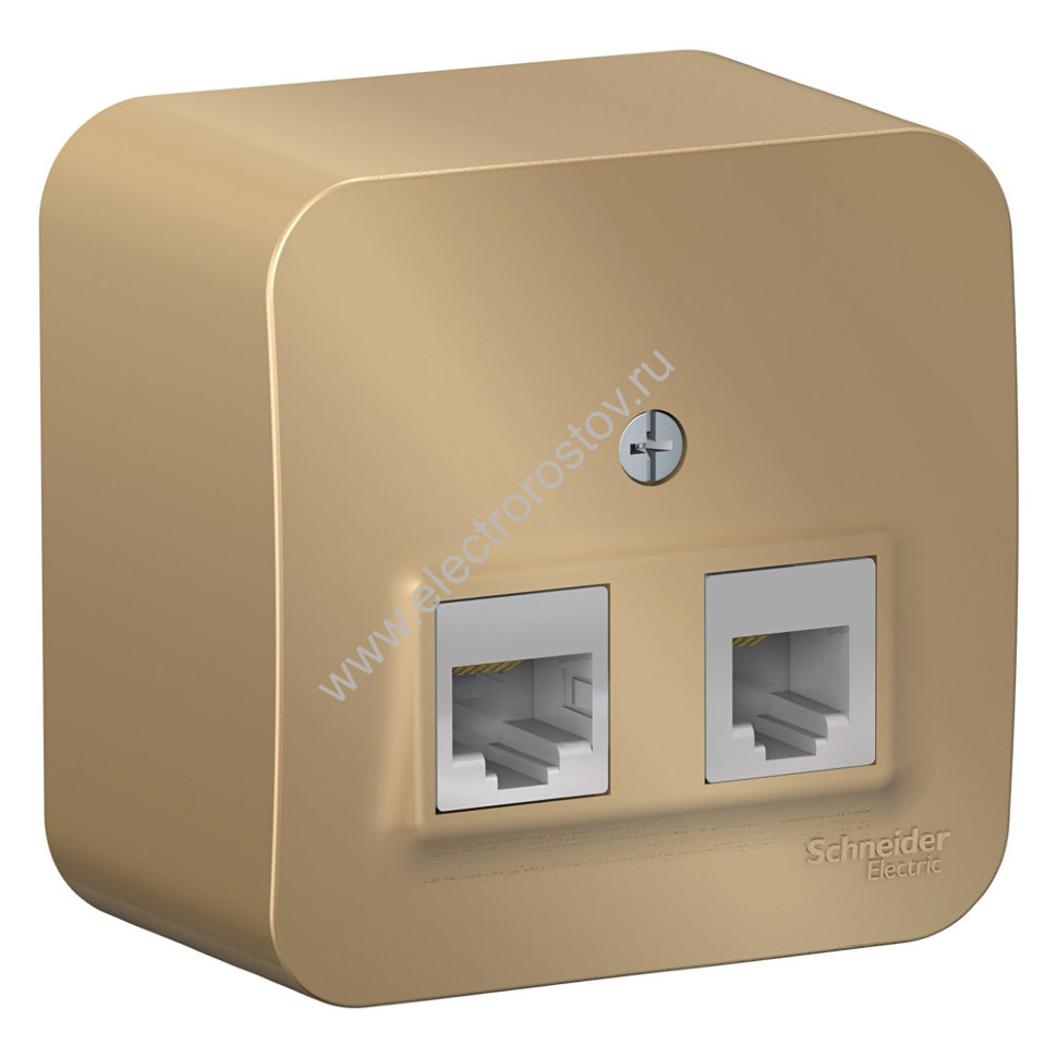 Blanca наруж Титан Розетка 2-ая ТЛФ/КОМП, RJ45+RJ11, кат.5E, изолир. пластина Schneider Electric