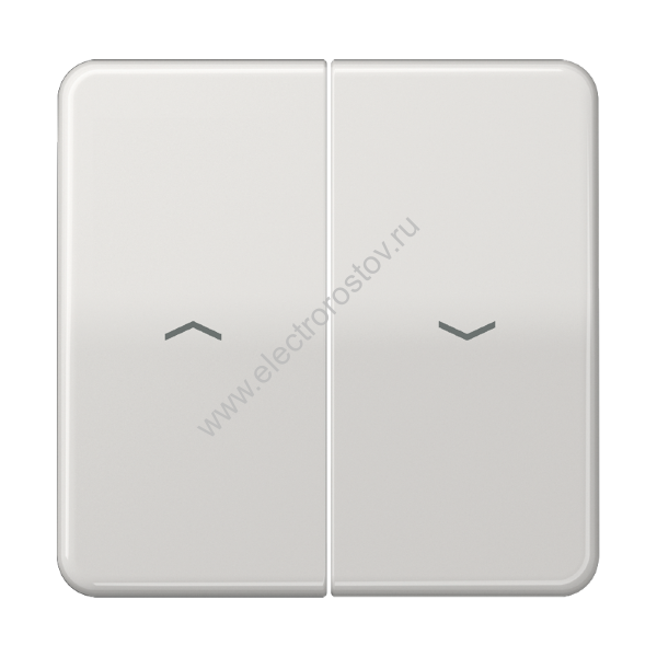 CD 500 Светло-серый Клавиша 2-ая жалюзийная JUNG