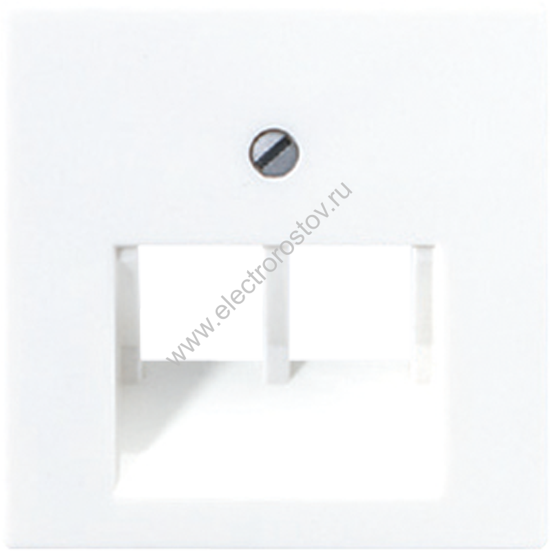 JUNG EcoProfi Белая Накладка 2-ой наклонной ТЛФ/комп розетки