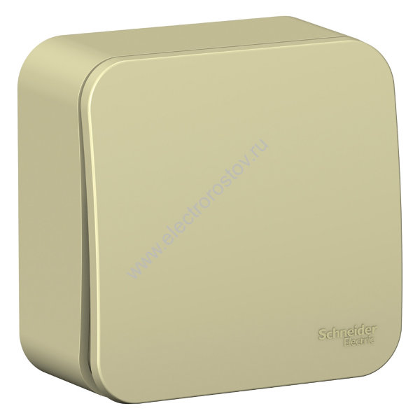 Blanca наруж Бежевый Выключатель 1-клавишный (cх.1) с самовозвратом, изолир. пластина 10А Schneider