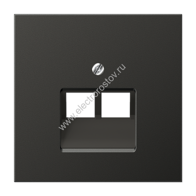 LS 990 Антрацит Накладка 2-ой наклонной ТЛФ/комп розетки JUNG