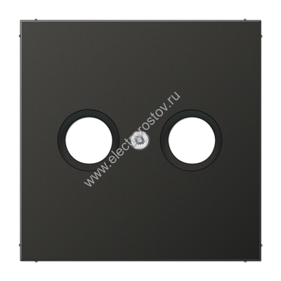 LS 990 Антрацит Накладка TV-FM JUNG
