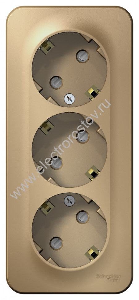 Blanca наруж Титан Розетка 3-ая с/з со шторками 16А, 250В, изолир. пластина Schneider Electric