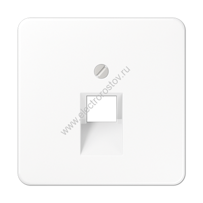 CD 500 Белый Накладка 1-ой наклонной ТЛФ/комп розетки JUNG