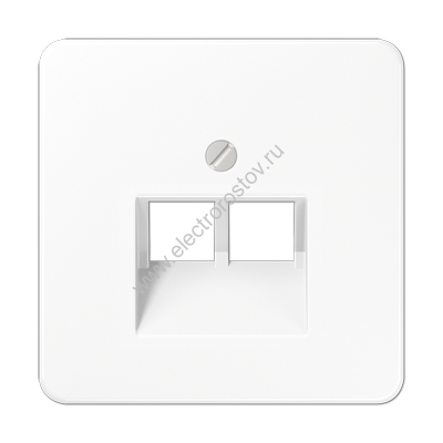 CD 500 Белый Накладка 2-ой наклонной ТЛФ/комп розетки JUNG