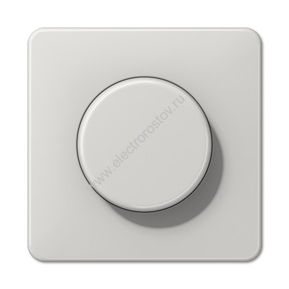 CD 500 Светло-серый Накладка роторного механизма JUNG