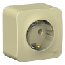 Blanca наруж Бежевый Розетка с/з без шторок, изолир. пластина 16А, 250В Schneider Electric